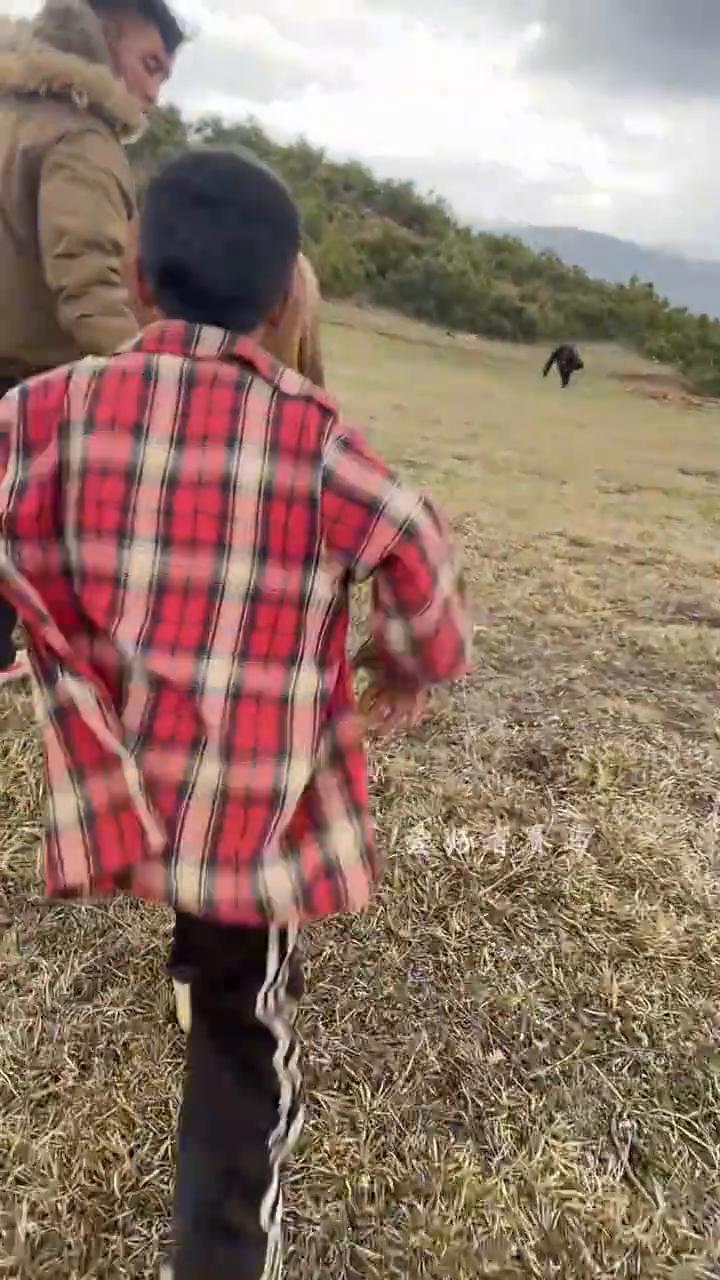 爱好者赛马。