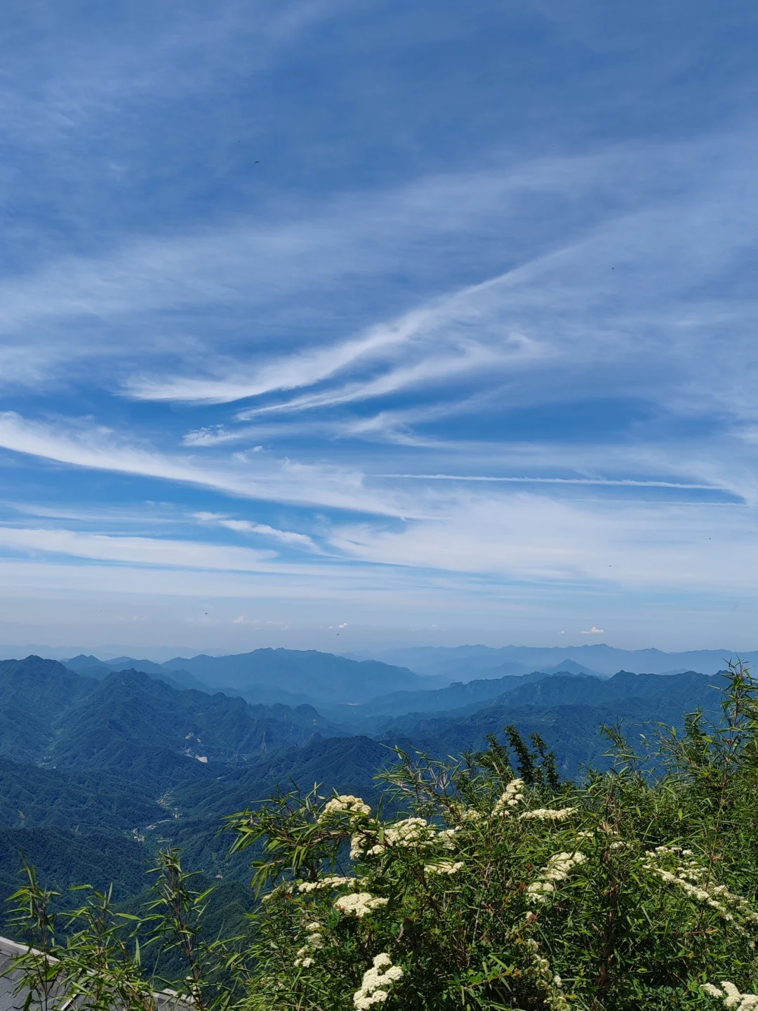 胰岛素抵抗之——健康素养