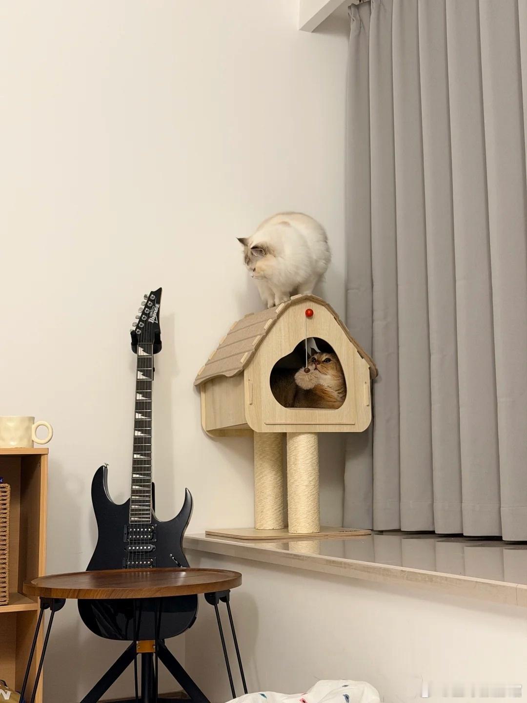 前段时间为了减肥，过度节食，结果营养严重跟不上，不仅体重没掉多少，还导致月经推迟