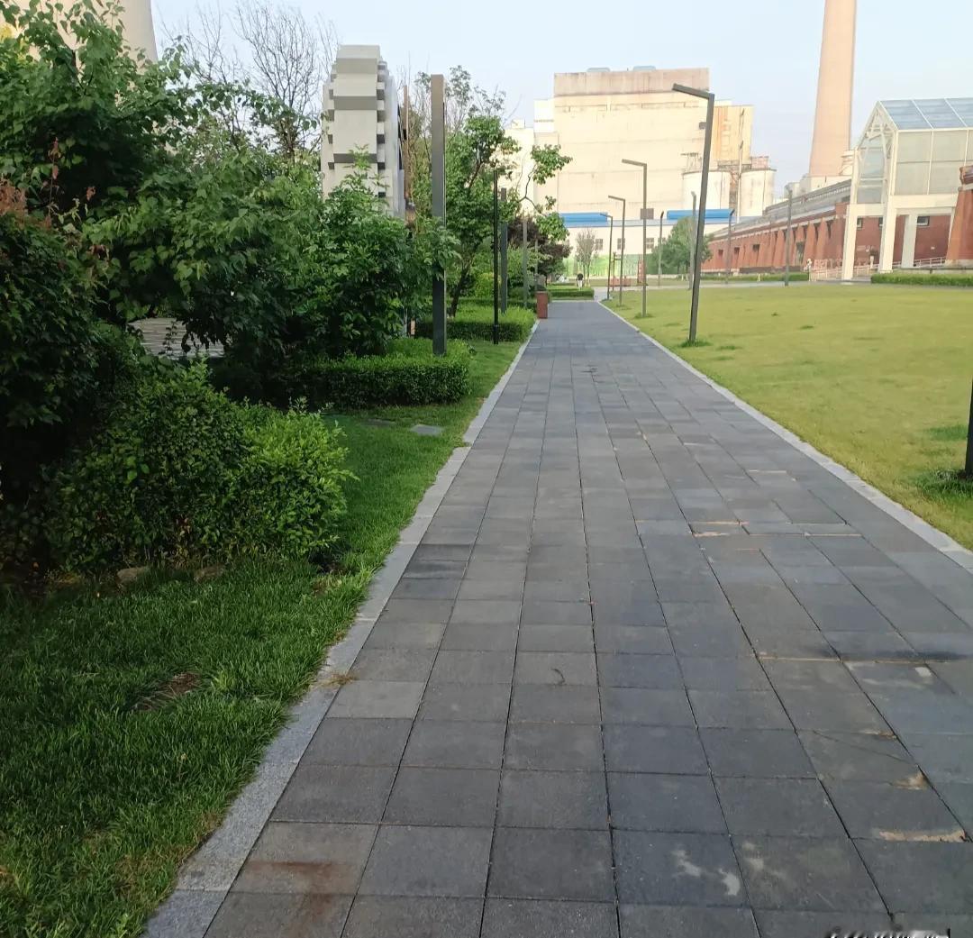 辞掉宝马厂，摆摊赔光8万

同学月入过万，我赔到只剩快递工牌

沈阳宝马叉车工李