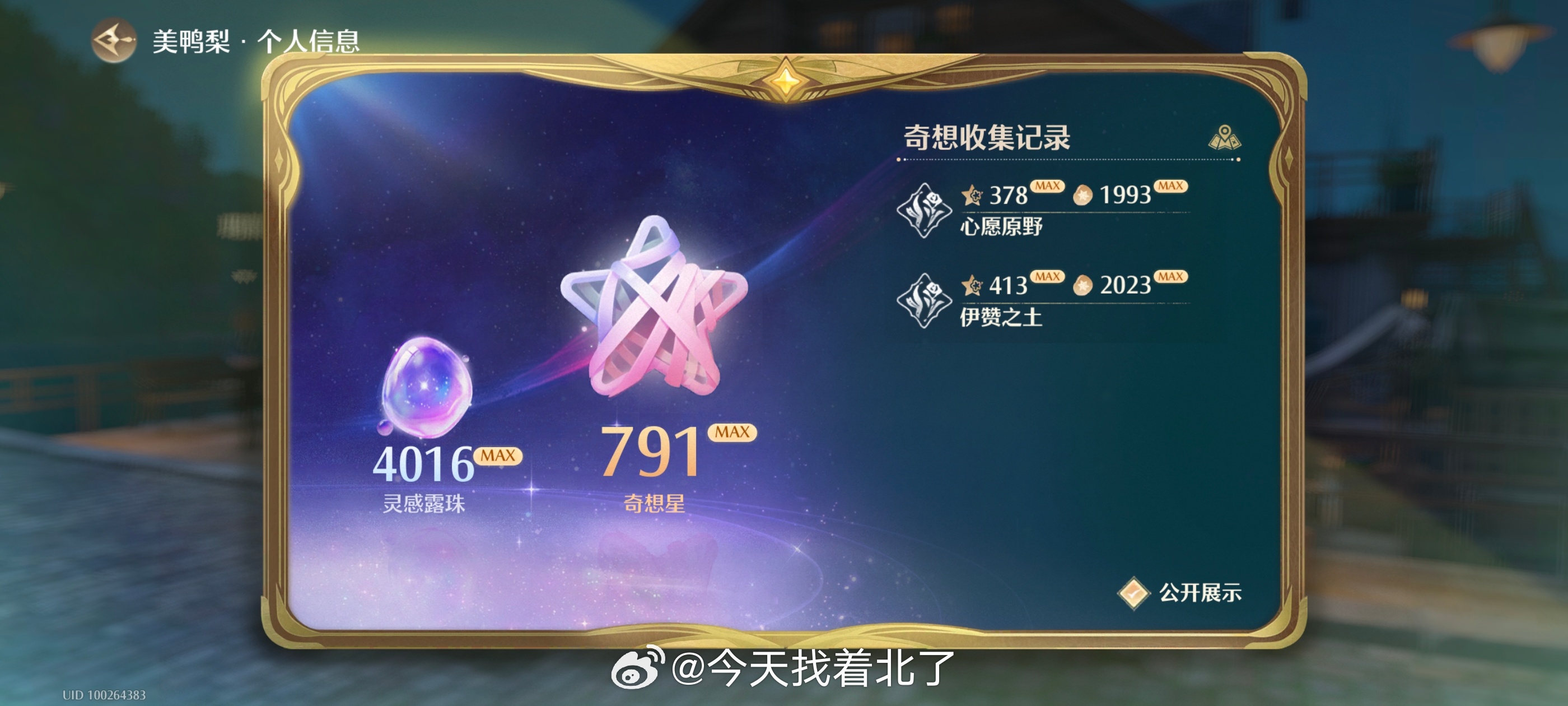 终于攒够三百万噗灵去找流浪帽仔换了花园镇差的最后一颗星 换完我就成只有两万八噗灵