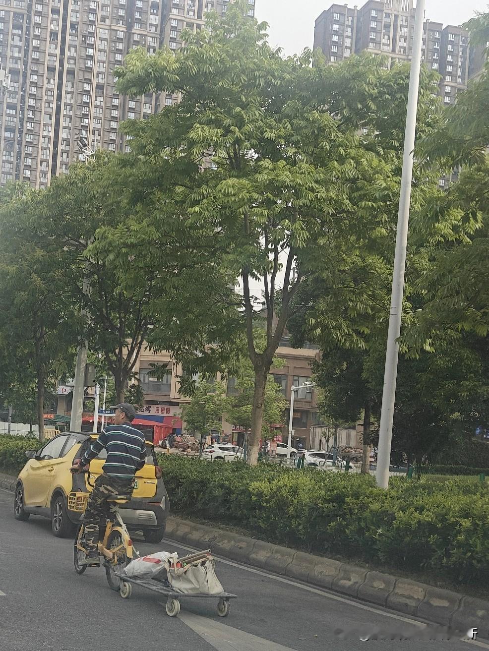 共享六轮车！