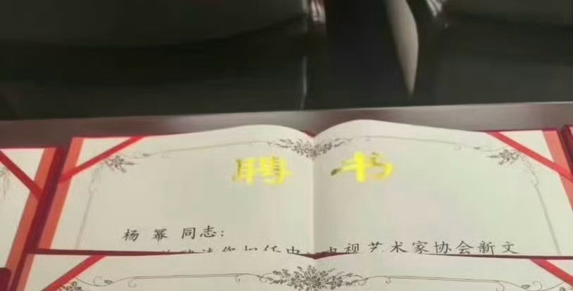 杨幂中国视协双新工作委员会副会长，杨幂，宋佳，佟丽娅都做副会长了！