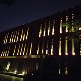 糖苔爱逛社会