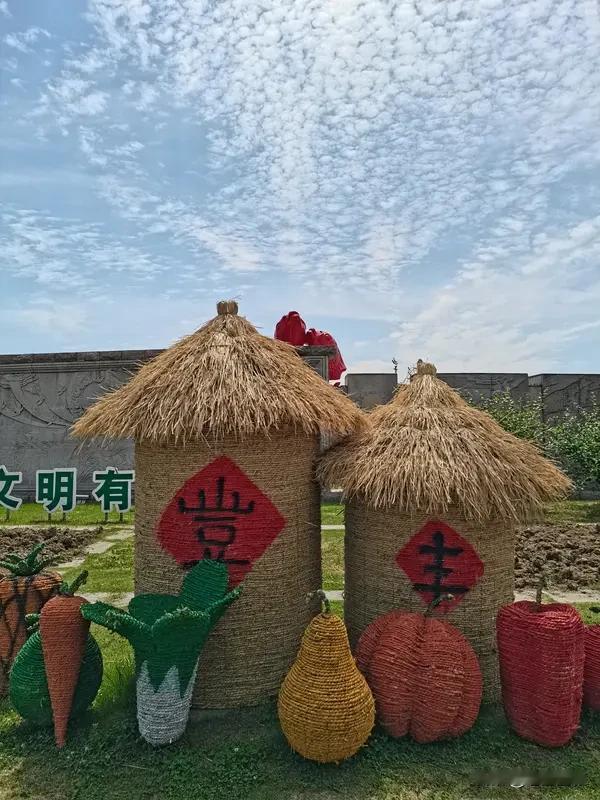 未来五年,农业农村现代化怎么干? 未来五年农业农村现代化，得从多方面发力。在科技