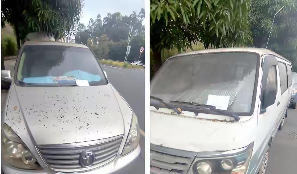 南宁街头惊现“锈迹僵尸车”！宝马车荒废成废墟，长期占位无人管，交警终于出手

公