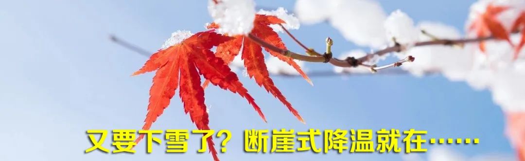 湖北日报视频 湖北，最严措施！