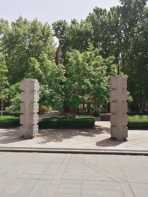 “山大无柴，人高无用”挺有意思的。从字面看，山大却没柴，就像有些地方看着很大，实