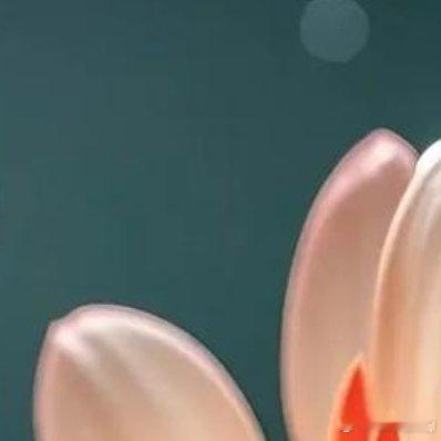 友谊如鲜花🌸，我们共同欣赏，编制成一个个美丽的花环 