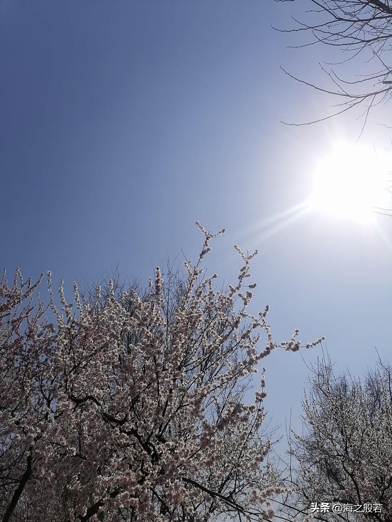 中年最大的从容来自于，不再追问谁是不是真心对你好，也不再因为别人对自己的态度，评