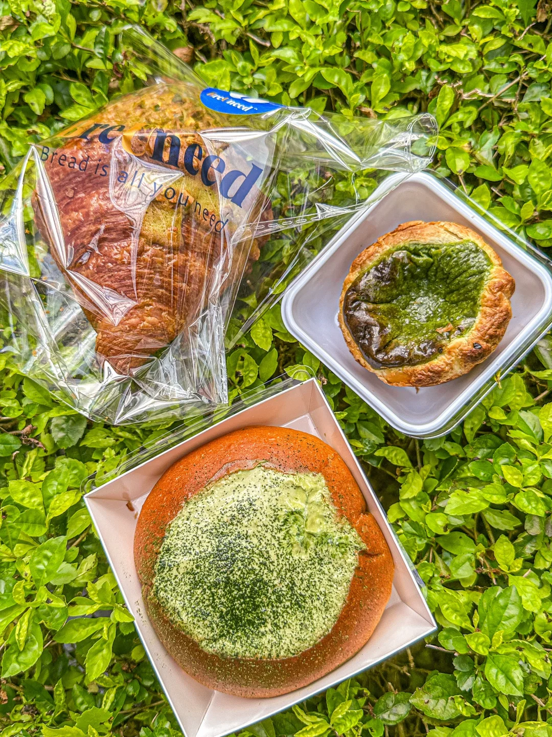 又又又🈶️新品面包🍞🍵抹茶拉丝麻薯系列