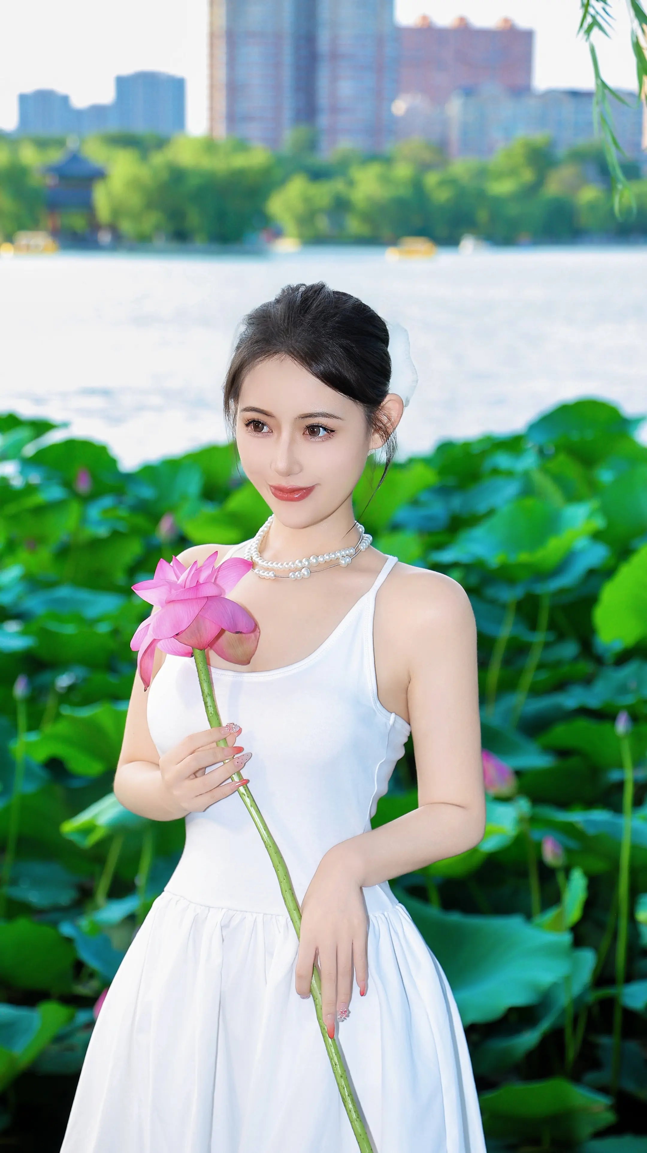 四面荷花三面柳 一城山色半城湖