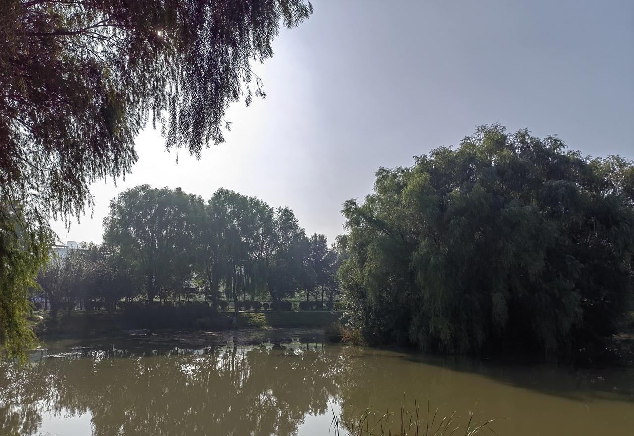 吕国龙与罗永浩之争闹到这一步，很难说罗永浩没有“事先预料”，也许吕国龙高叫“官司
