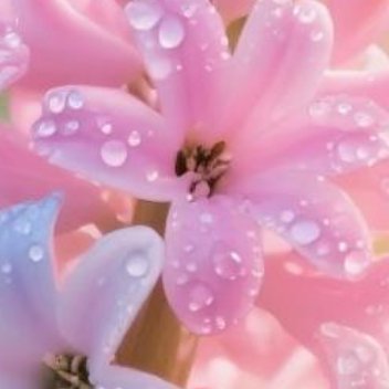 正能量人活一辈子，无论长短，都要好好活着，不管是遇到什么事情，不管是遇见什么人，