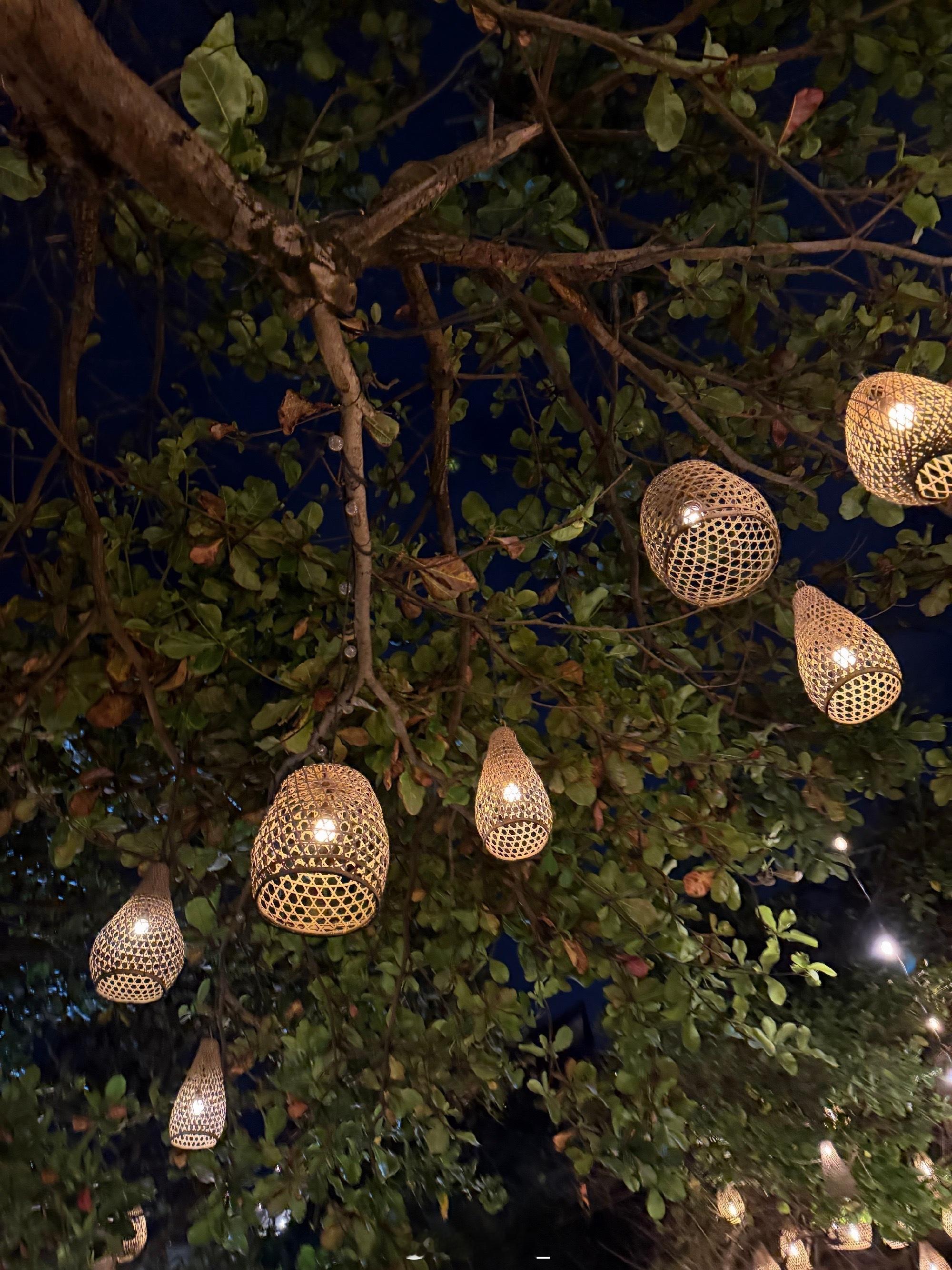 一些小小日常💛🌼🐈 ✨ 