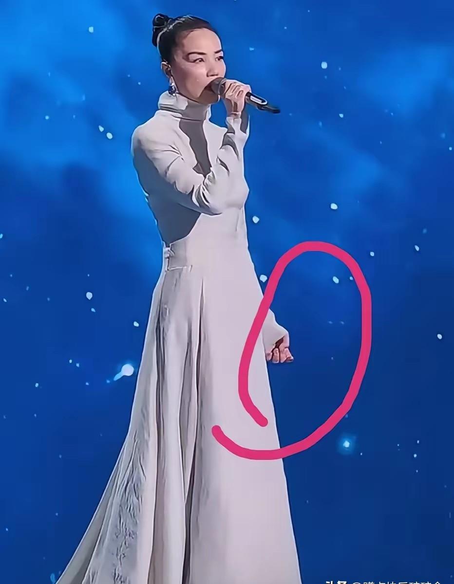 春晚王菲一出场，多少人心里咯噔一下，这还是我们熟悉的“王菲”吗？
《归途有风》刚