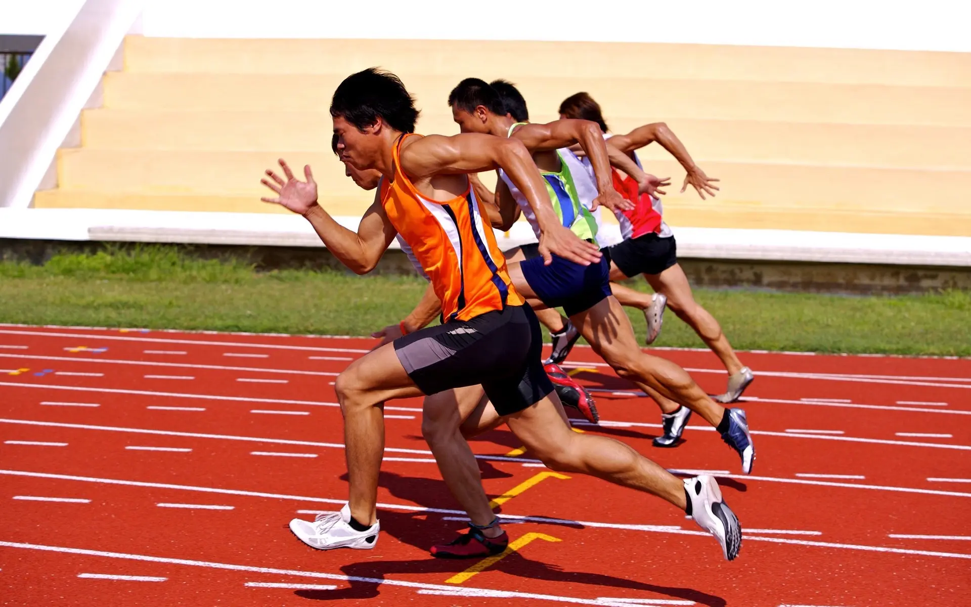 2025年成武北辰夏季高考体育专业，招收6至9年级学生及9年级应届生...