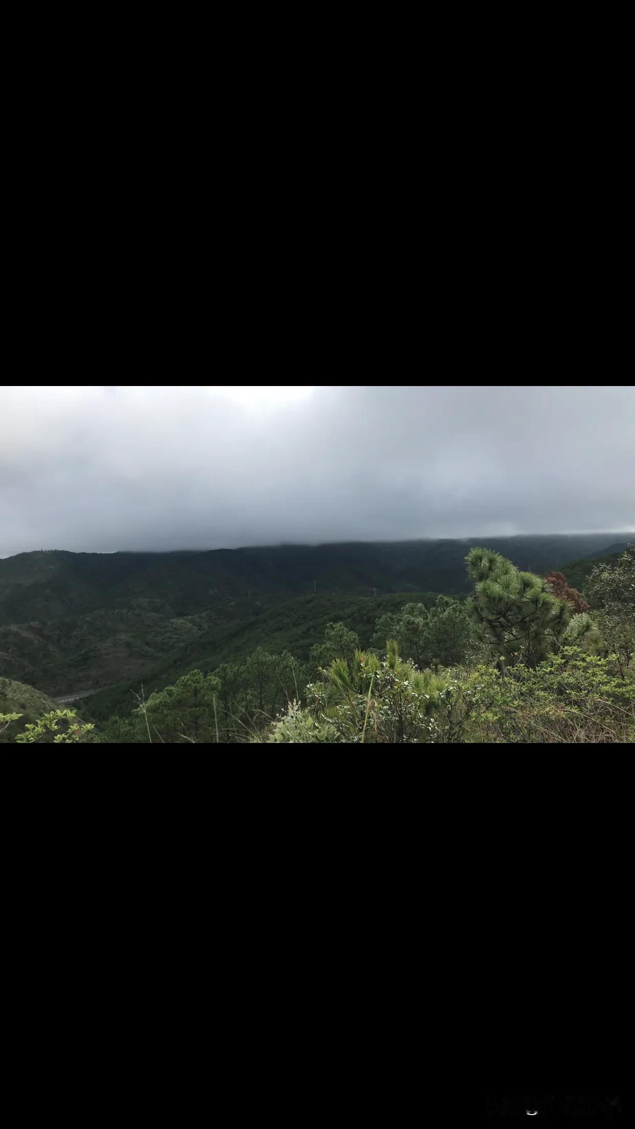 深山里的野蜜特好吃，5个小时也值得了