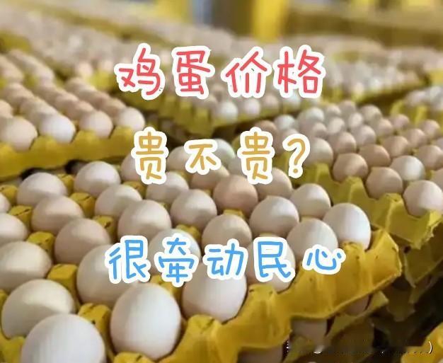 🥚《海外鸡蛋价格对比》
──────────
我们一位同事，突然吐槽留学澳洲的