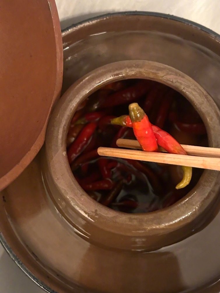 论泡菜坛子在川渝的地位有多高是拥有自己独立冰箱的程度！为了防止高温天气坛子生花，
