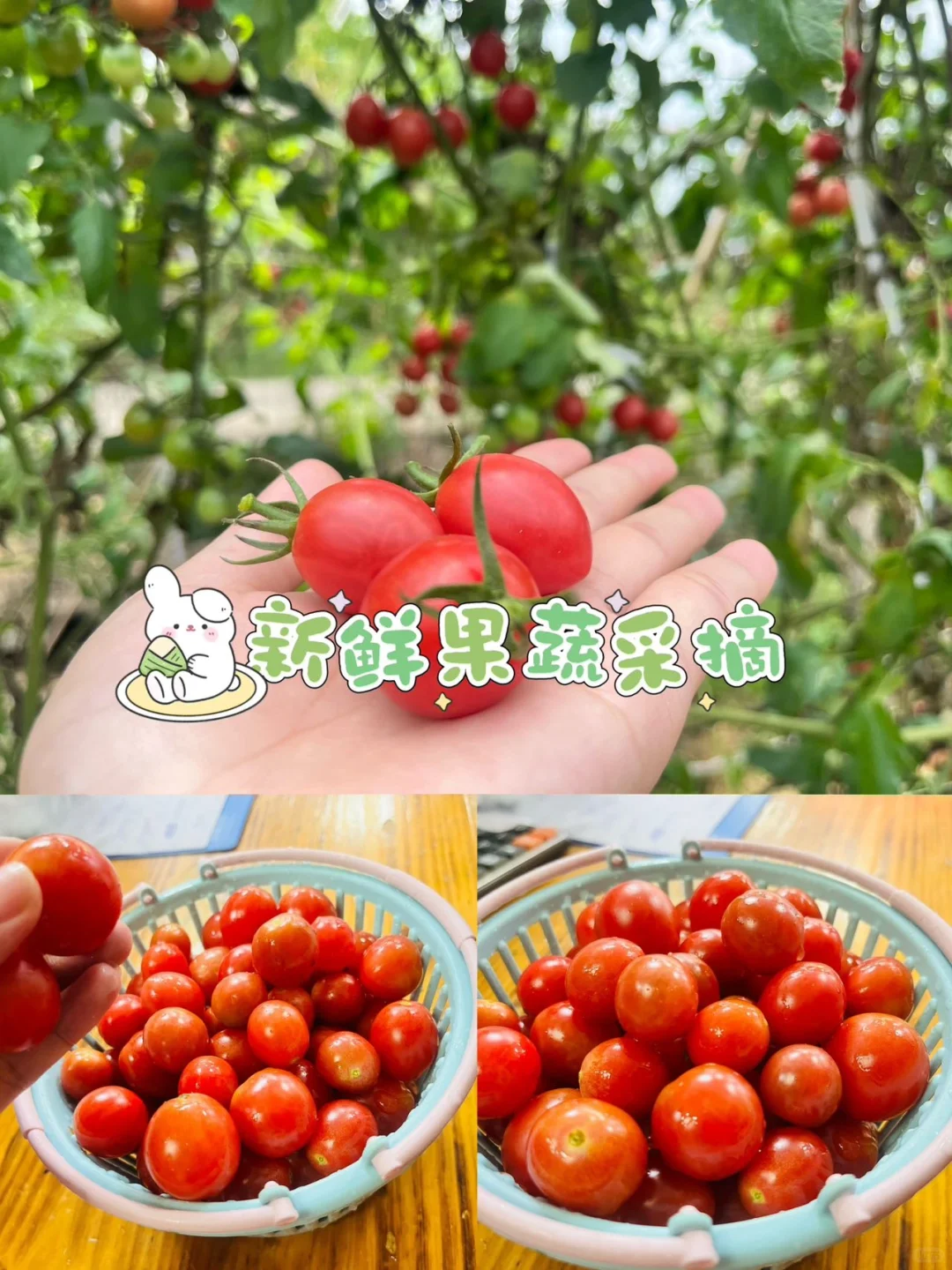 隐藏在南昆山的宝藏农家菜～泰惊艳了