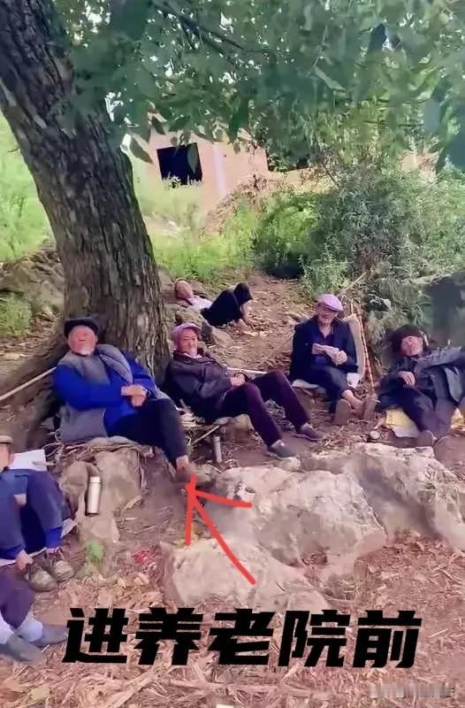 80斤！送爷爷进养老院3个月，我肠子都悔青了！

进养老院之前精神抖擞，和乡亲们