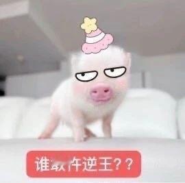 互关 过来 