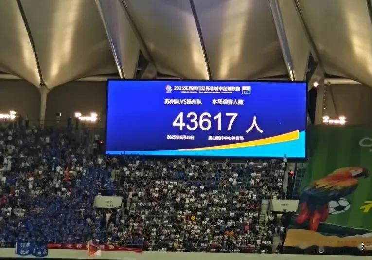 苏州奥体能容纳4.5万名观众，足协杯决赛却只卖3.2万张球票，剩余1.3万张球票