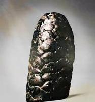 1973年，宁夏一对年轻的夫妻，天没亮就出门赶集，走在前方的丈夫突然听到一声惨叫