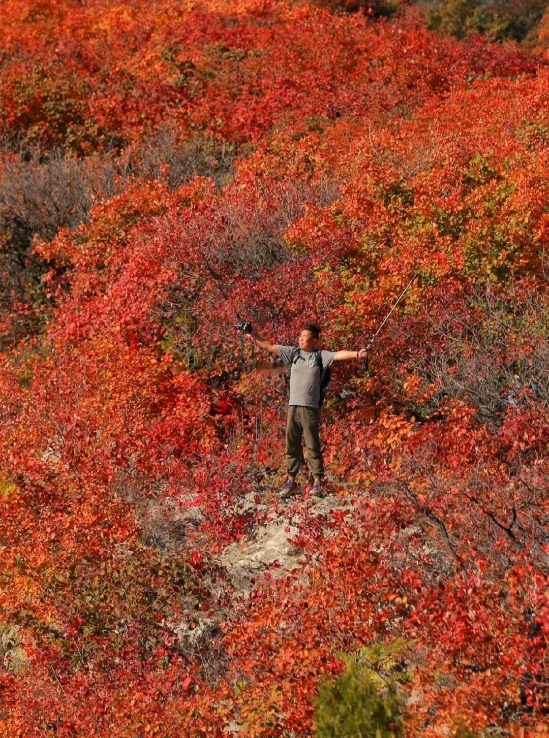 哎哟谁把调色盘🎨打破了，让这座山如此之美