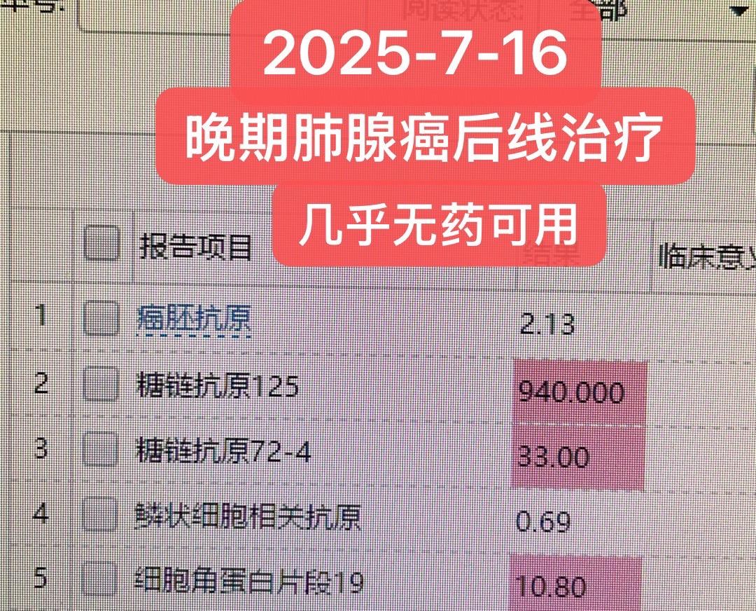 肺腺癌晚期，后线治疗，无药可用。肺腺癌四期，广泛转移，基因检测无特异靶...
