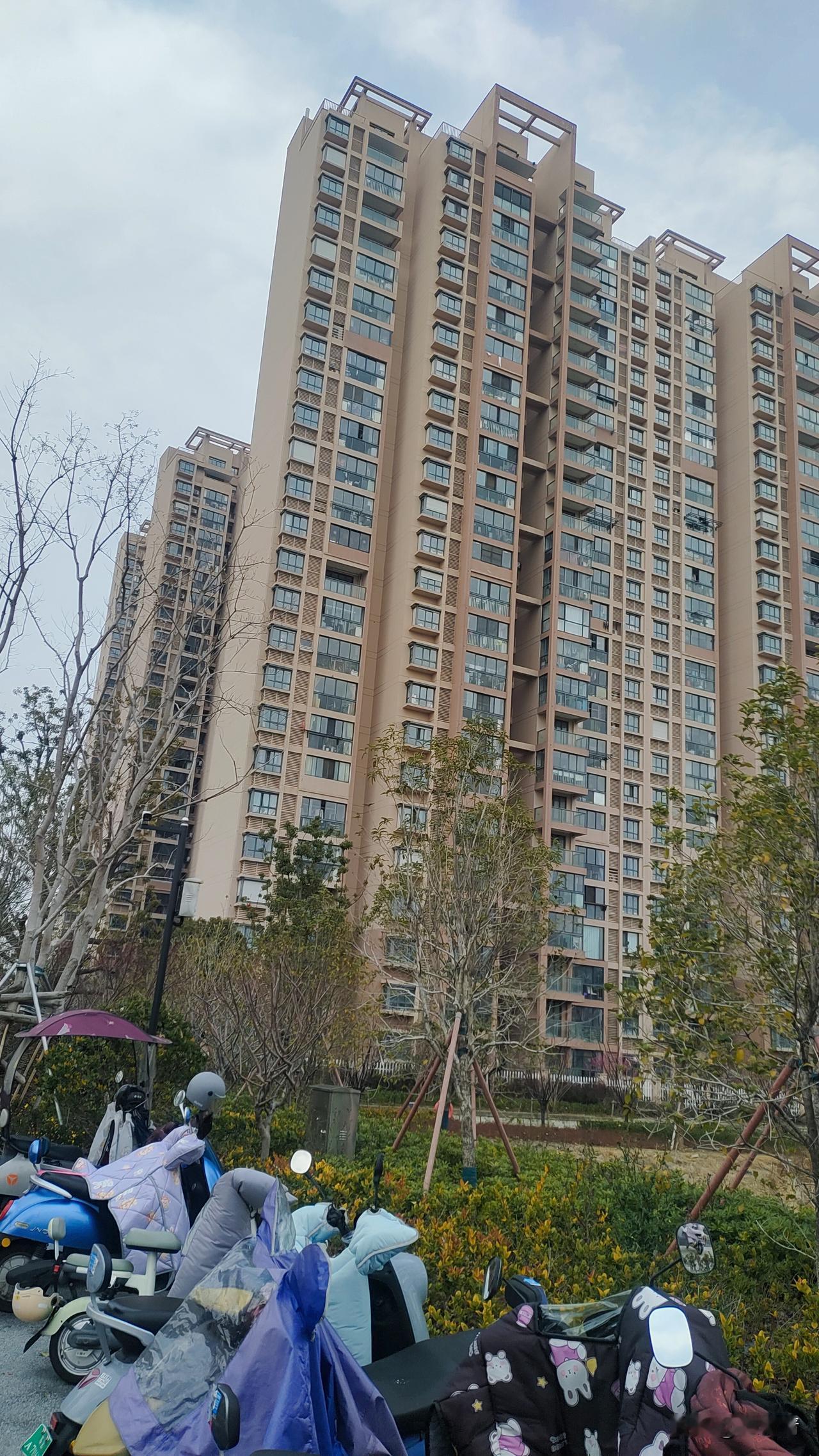 2月8日，坐标苏州相城万泾花园。春节的脚步临近，在城市打拼的人，陆陆续续回老家同