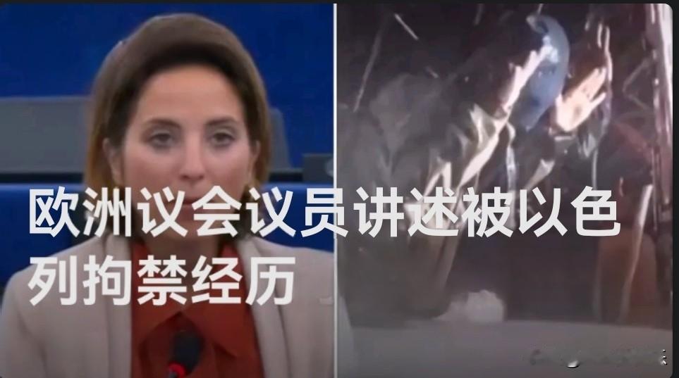 欧洲议会议员讲述被以色列拘禁经历

   据外媒披露当地时间10月6日，欧洲议会