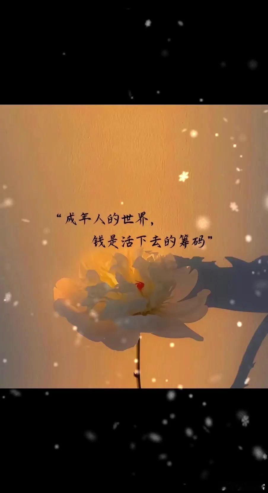 随手拍人这一生，能靠的只有摔不碎的自己”我曾觉得“有人拖底”既是幸运后来才懂“真