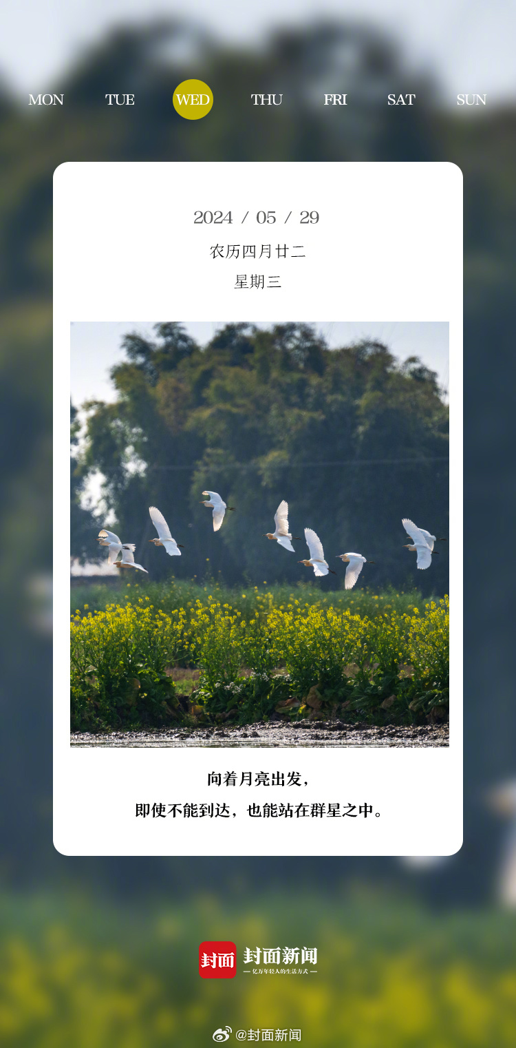 #小封日历# 早安！周三啦！你昨晚睡了多久？[哈欠] ​​​