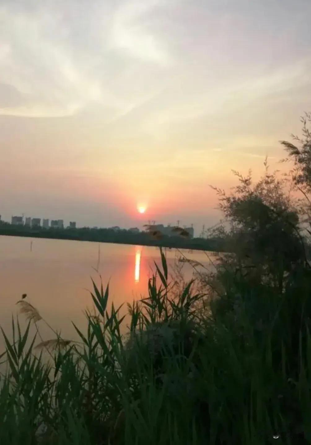 七律·运命
半由天意半由人，
莫向浮尘叹屈伸。
厄境当存磨剑志，
顺途须守抱朴心