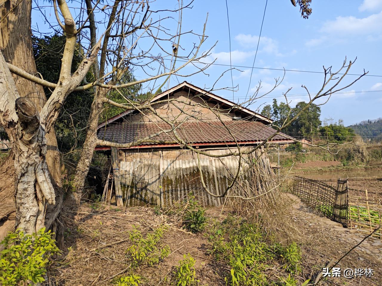 没儿没女的五保户，政府每个月给800。身为子女的你，每个月给了父母多少钱？
我们