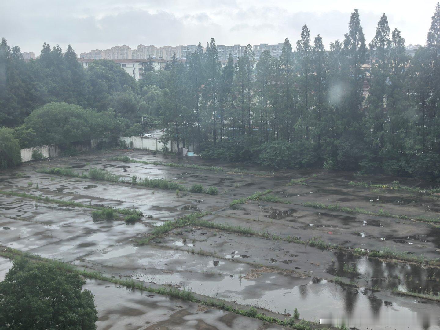 中签上马后，这就得风雨无阻的跑了目标就是完赛。 