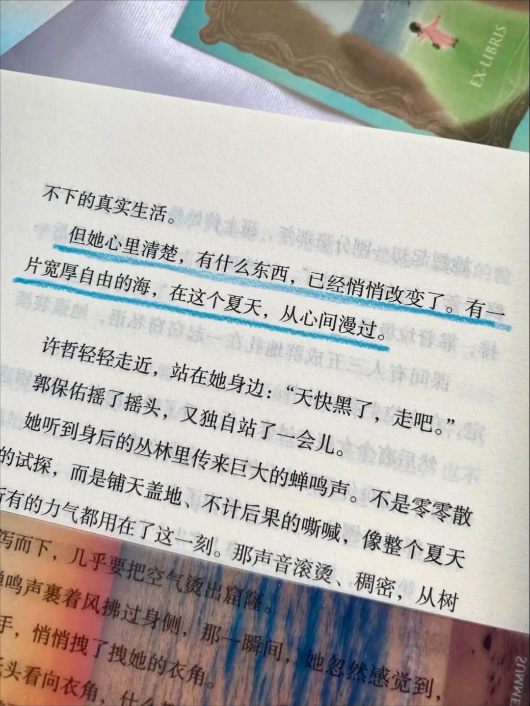 允许一切发生｜读完内心被温柔抚平 ​​​
