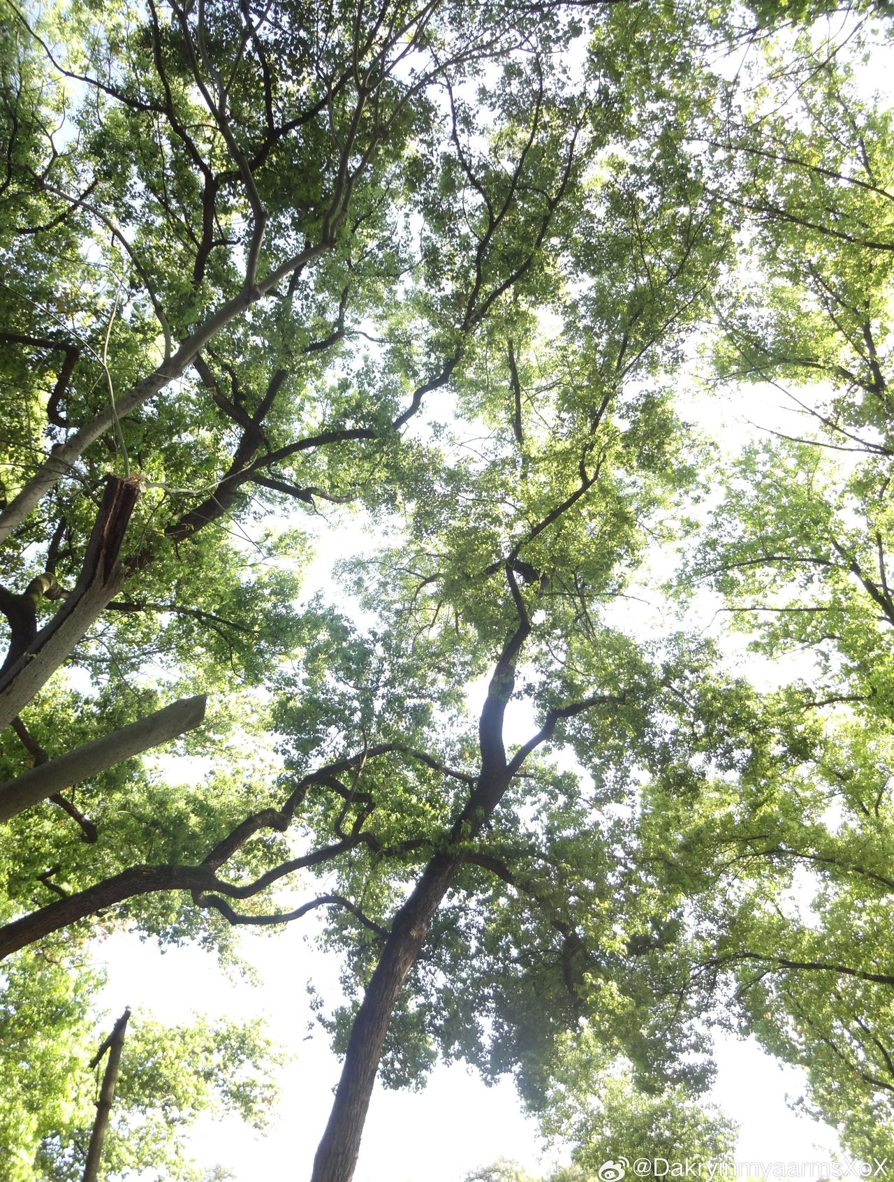 一直都是大太阳 ​​​