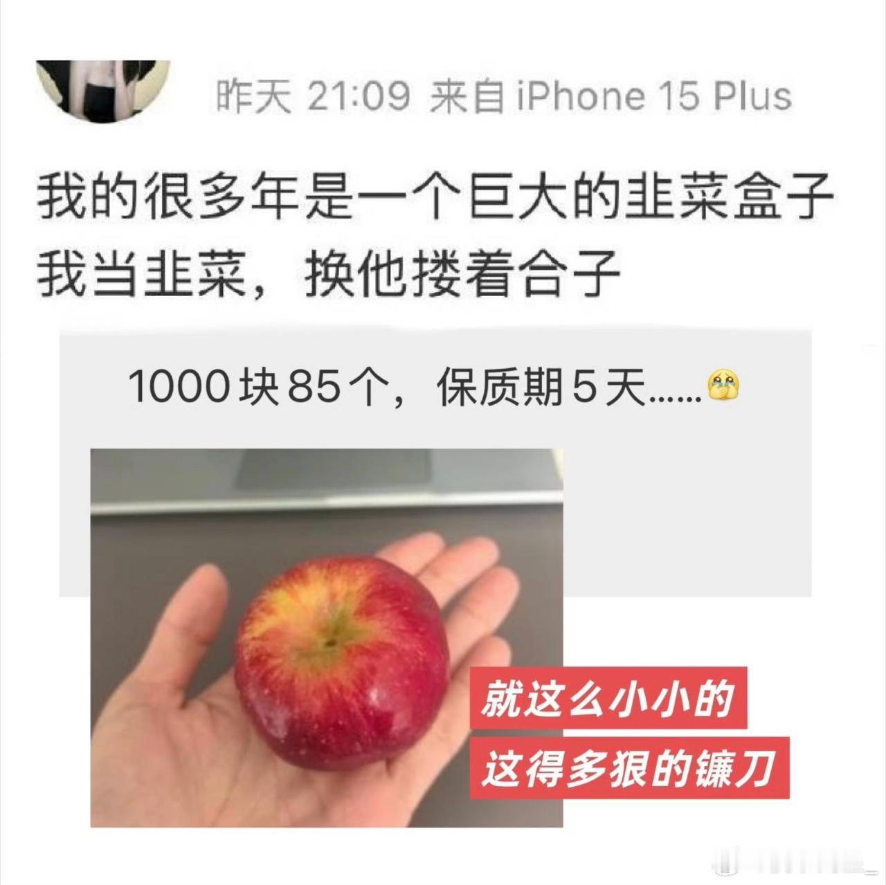 高奢内代苹果