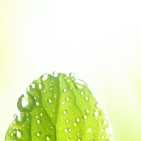 阳光信用  只把一件事做好，就是生活本初的节奏，再忙再累的日子都会云淡风轻，再苦