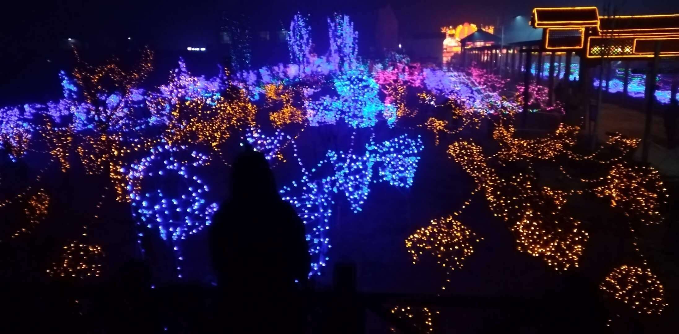 “那些我偷望过的人，都不曾为我停驻，我曾经苦苦等待谁的回眸，可是，总是空欢喜一场