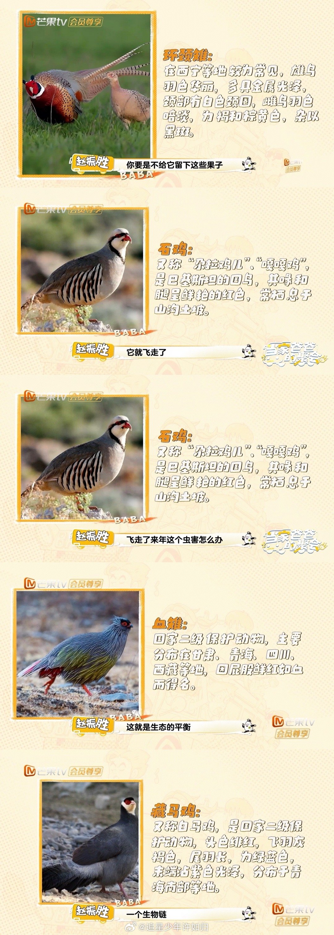 揭秘沙漠红宝石的成长密码！三年蓄力四年结果，每年仅采两茬的坚持背后：一半为品质，