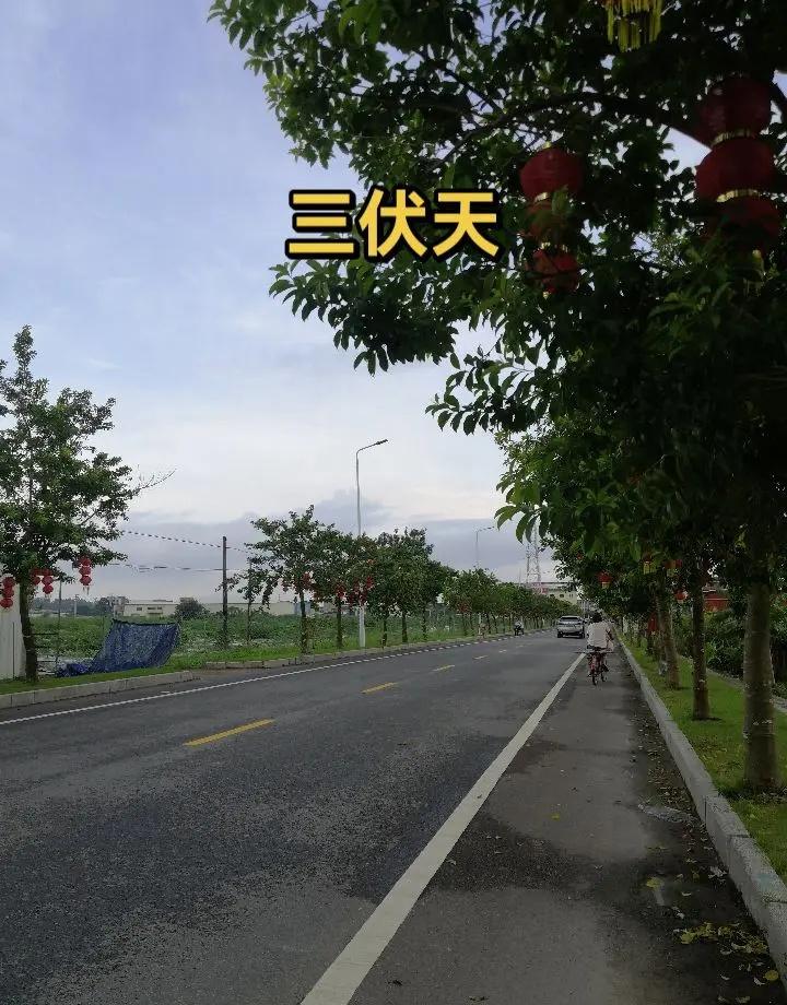 王楚钦独得两分力挽狂澜！囯乒男团晋级伦敦世乒赛8强，中囯男团晋级八强王楚钦 世乒