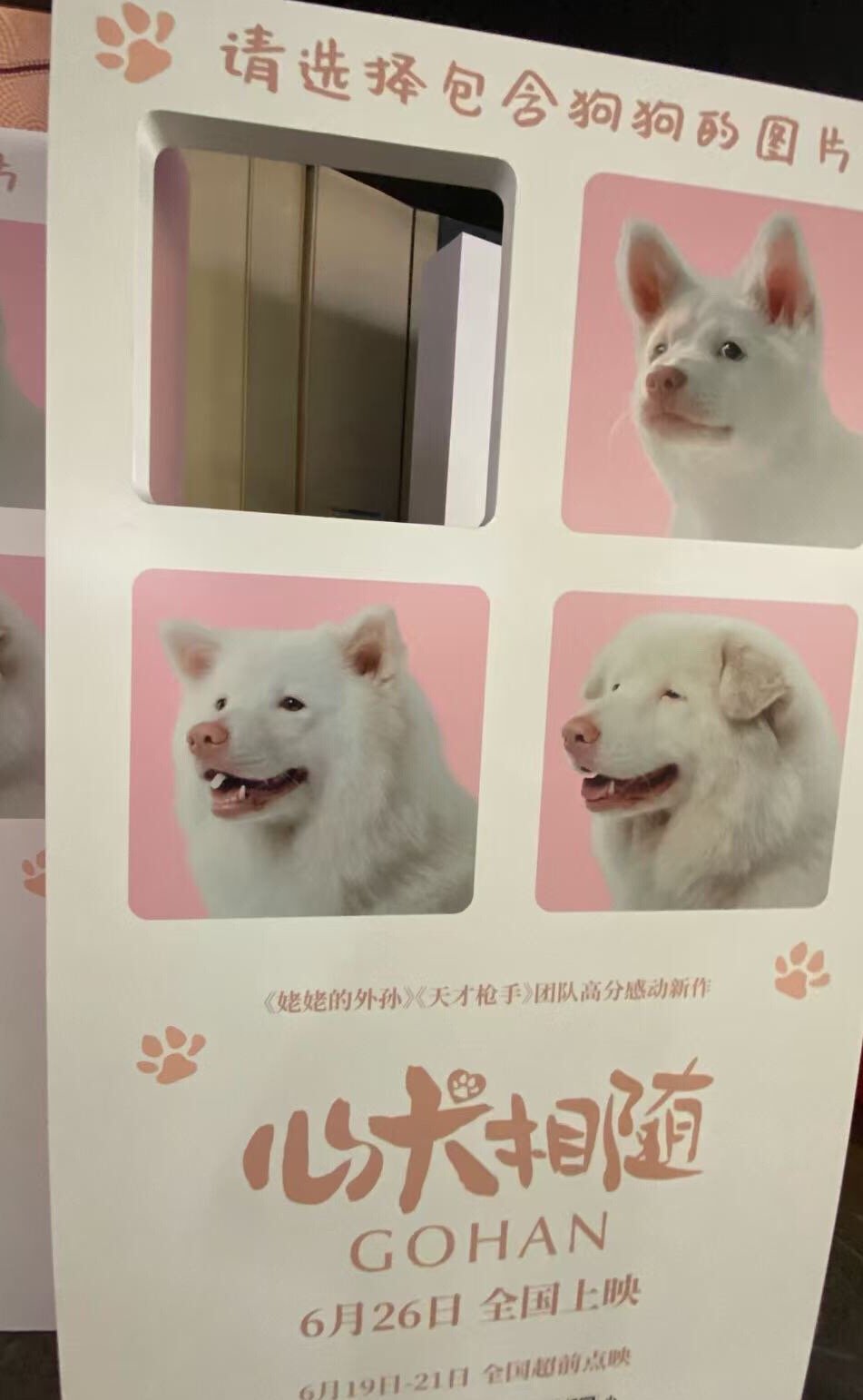 心犬相随（2026） 我的评分：电影心犬相随 治愈力和共情力往往是相伴而生的。因