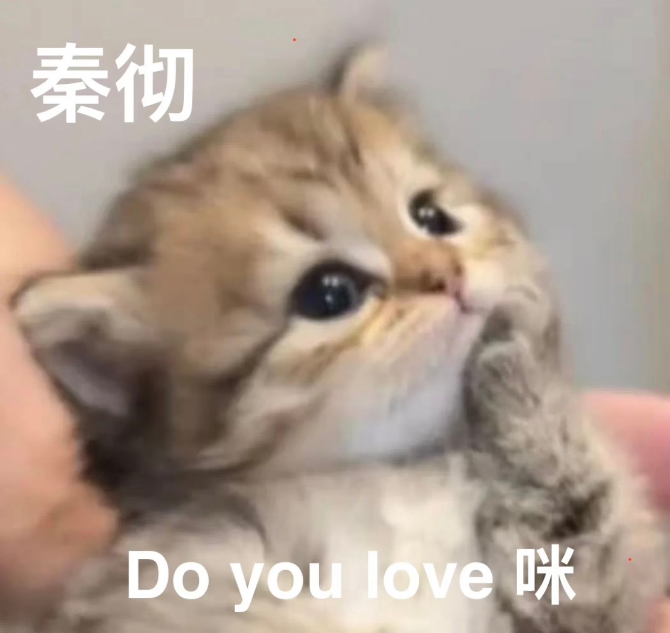 等五人混池背头大爸爸 ​​​