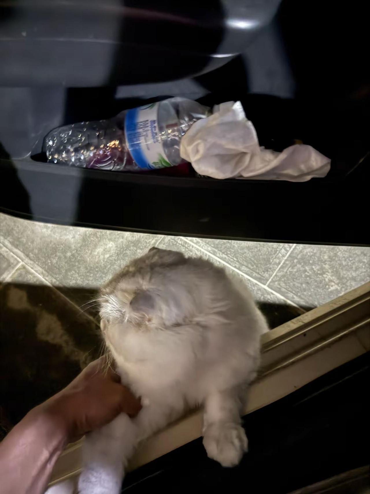 回家的感觉 有你真好！幸好有你！家 春 秋 咪