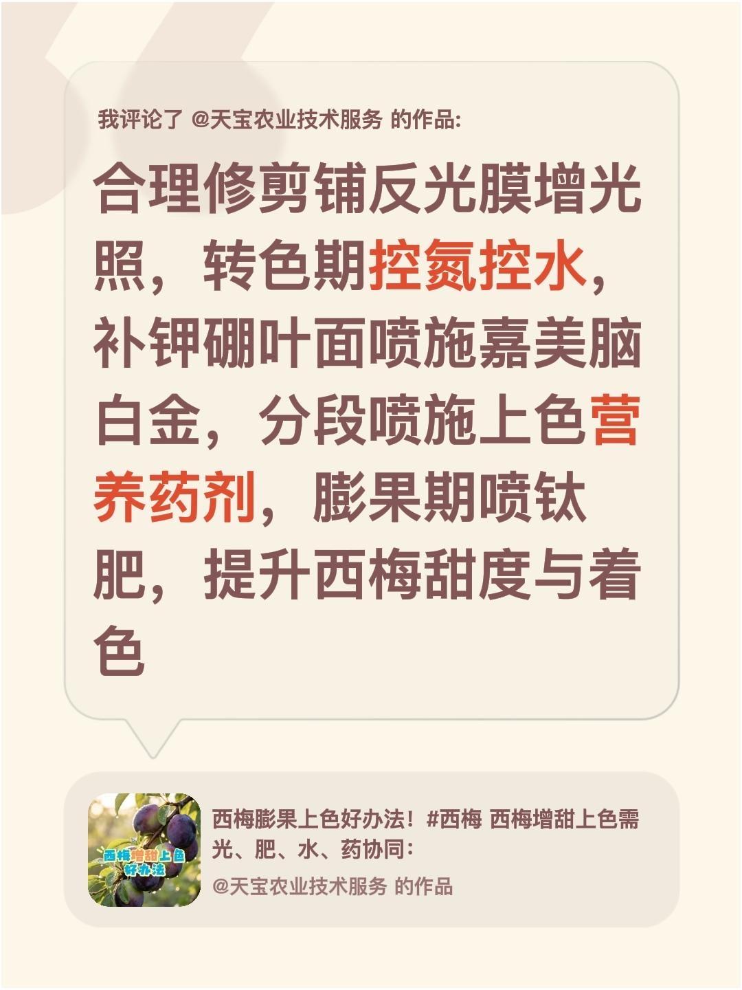 西梅膨果上色有妙招！我评论了@天宝农业技术服务 的作品：
合理修剪铺反光膜增光照