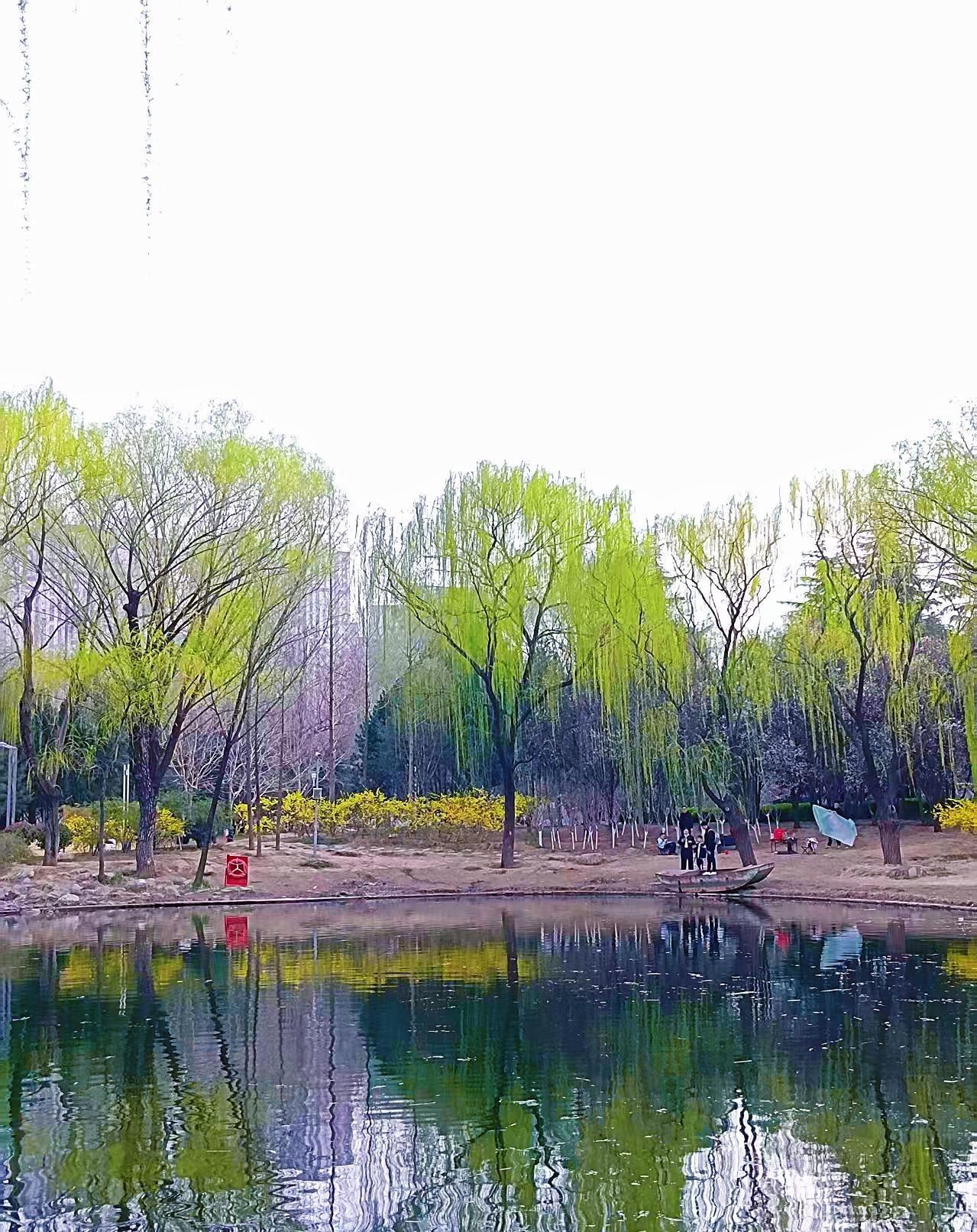 你家乡的爸爸称呼是什么哈哈哈哈哈！我们这称呼是“爹”